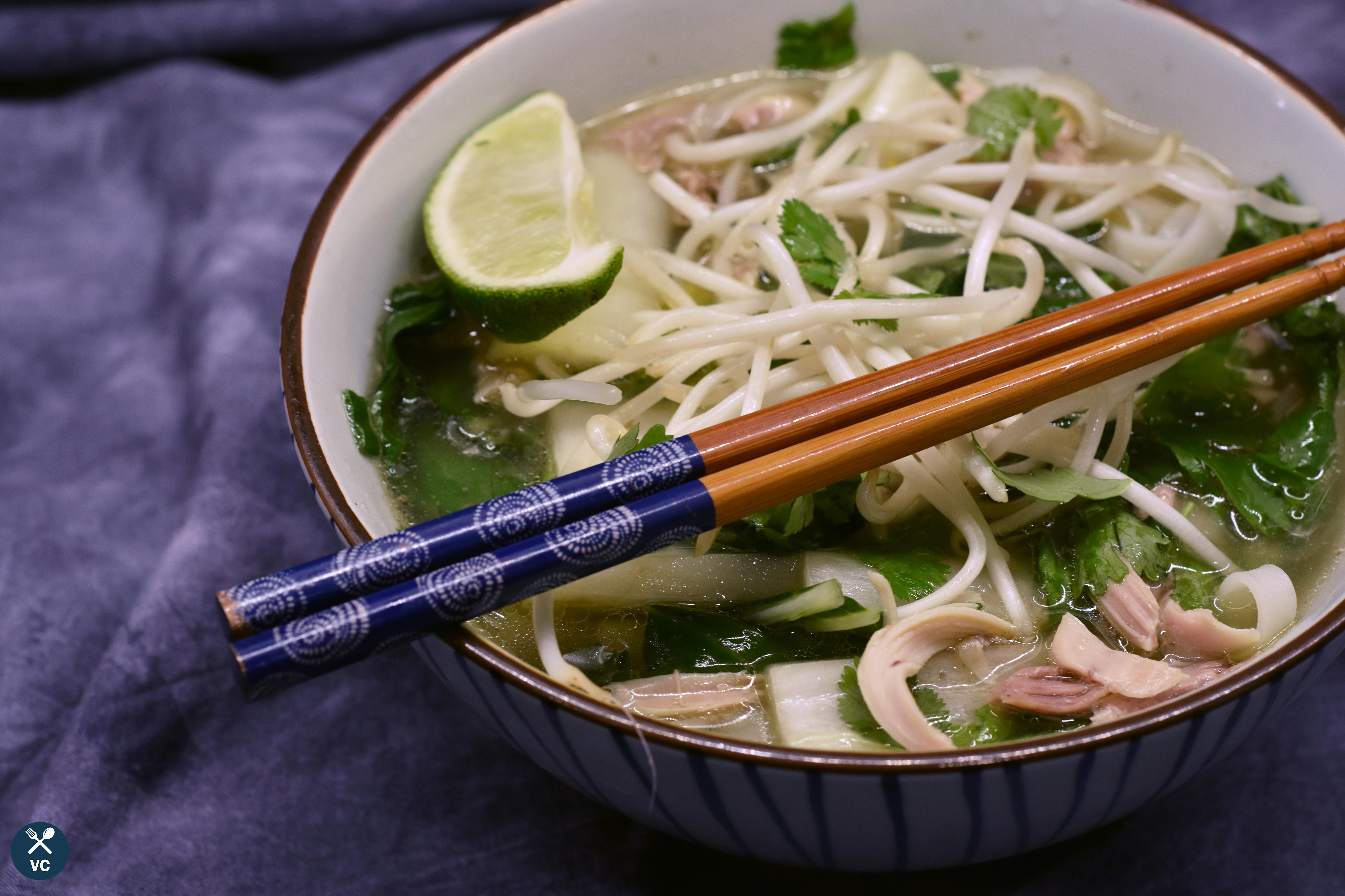 pressure cooker pho ga recipe (VC in the Kitchen)