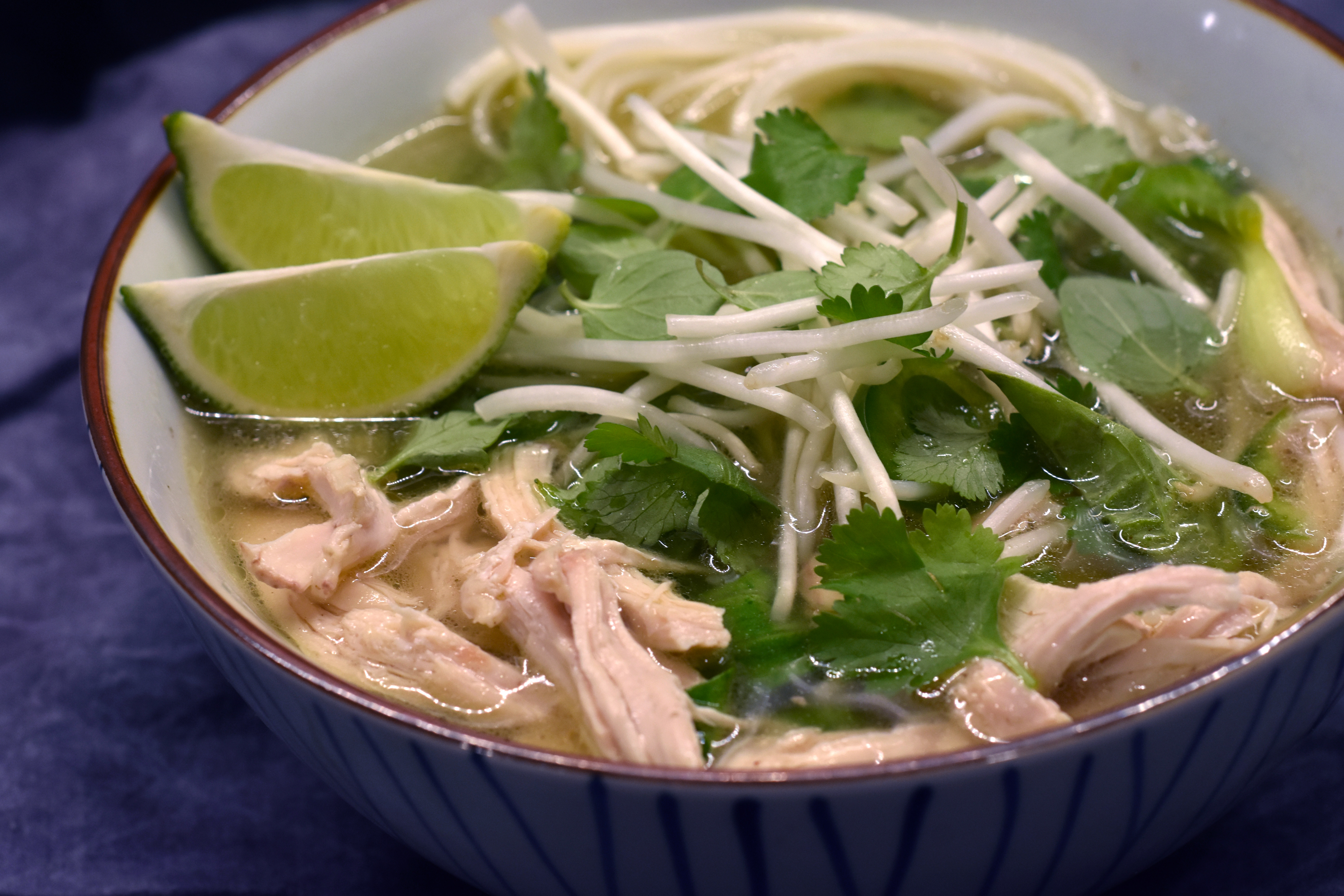 Pressure cooker chicken pho (VC in the Kitchen)